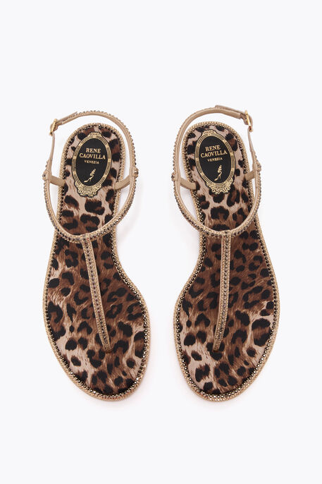 DIANA ANIMALIER SANDAL WITH CRYSTALS 10