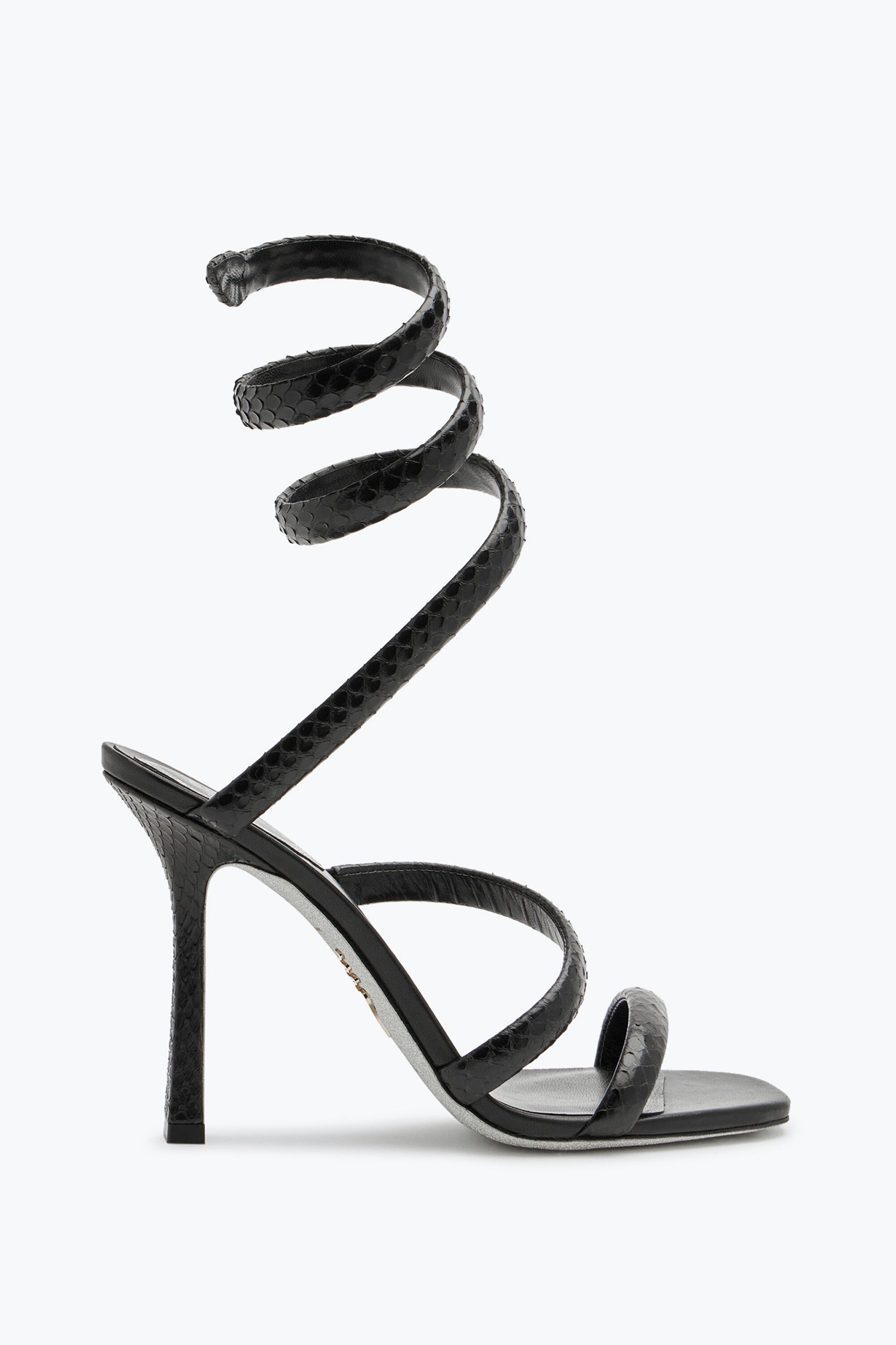 Rene caovilla snake sandals new arrivals