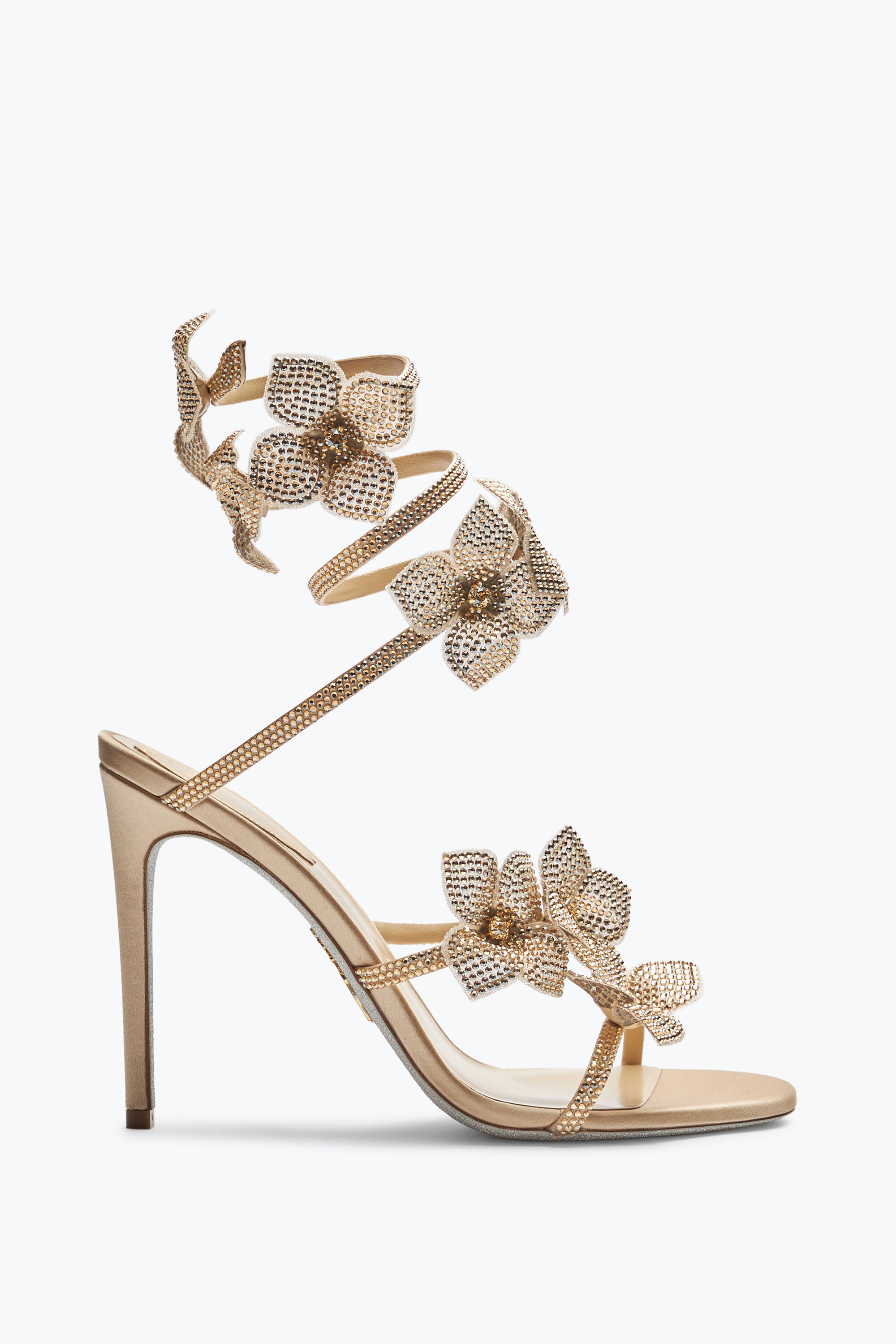 Caovilla shoes sale