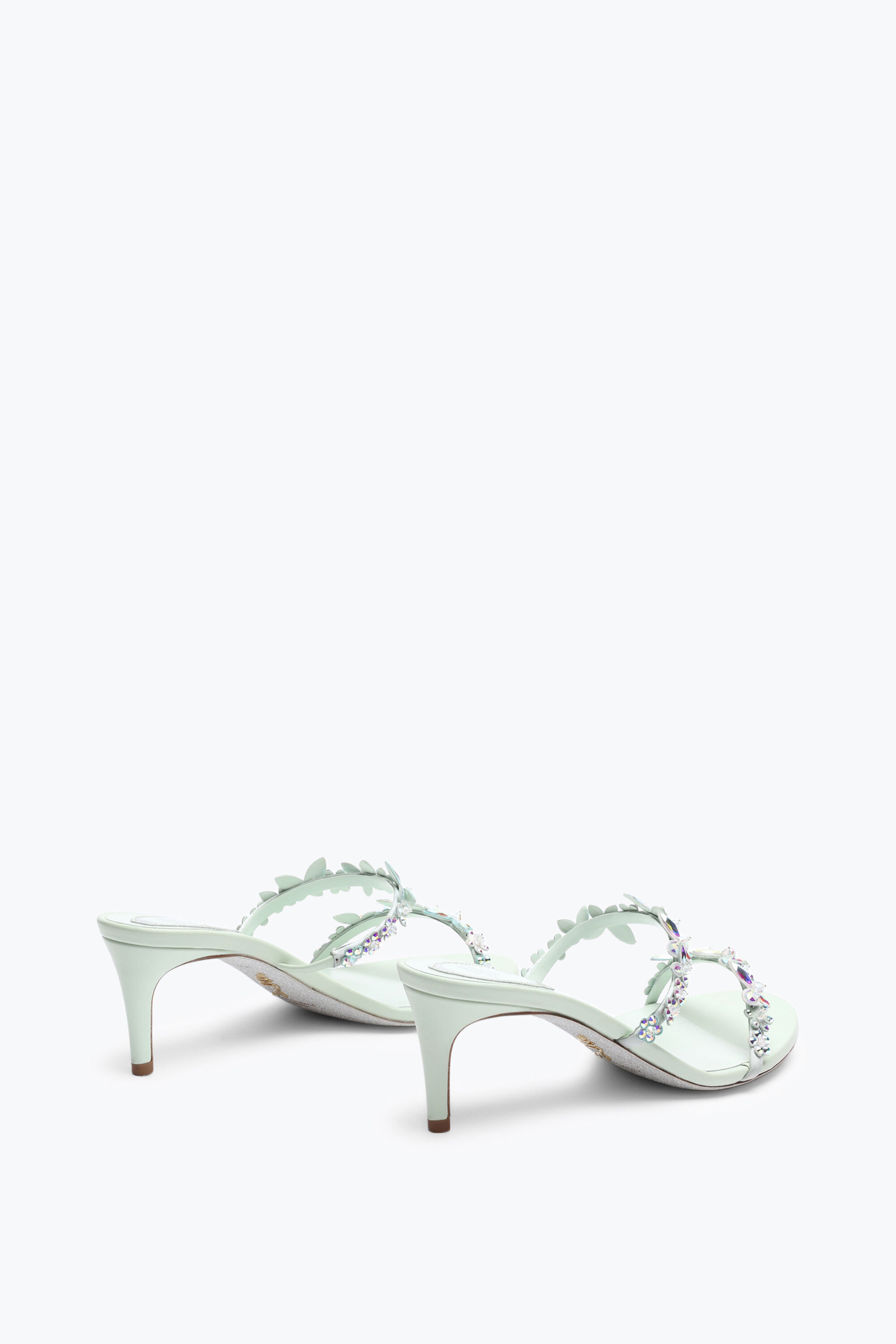 Jeweled Eden Green Mint Mule 60 | Rene Caovilla®