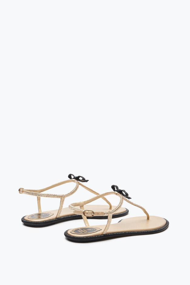 Caterina Honey Thong Sandal 10 Caterina Honey Thong Sandal 10