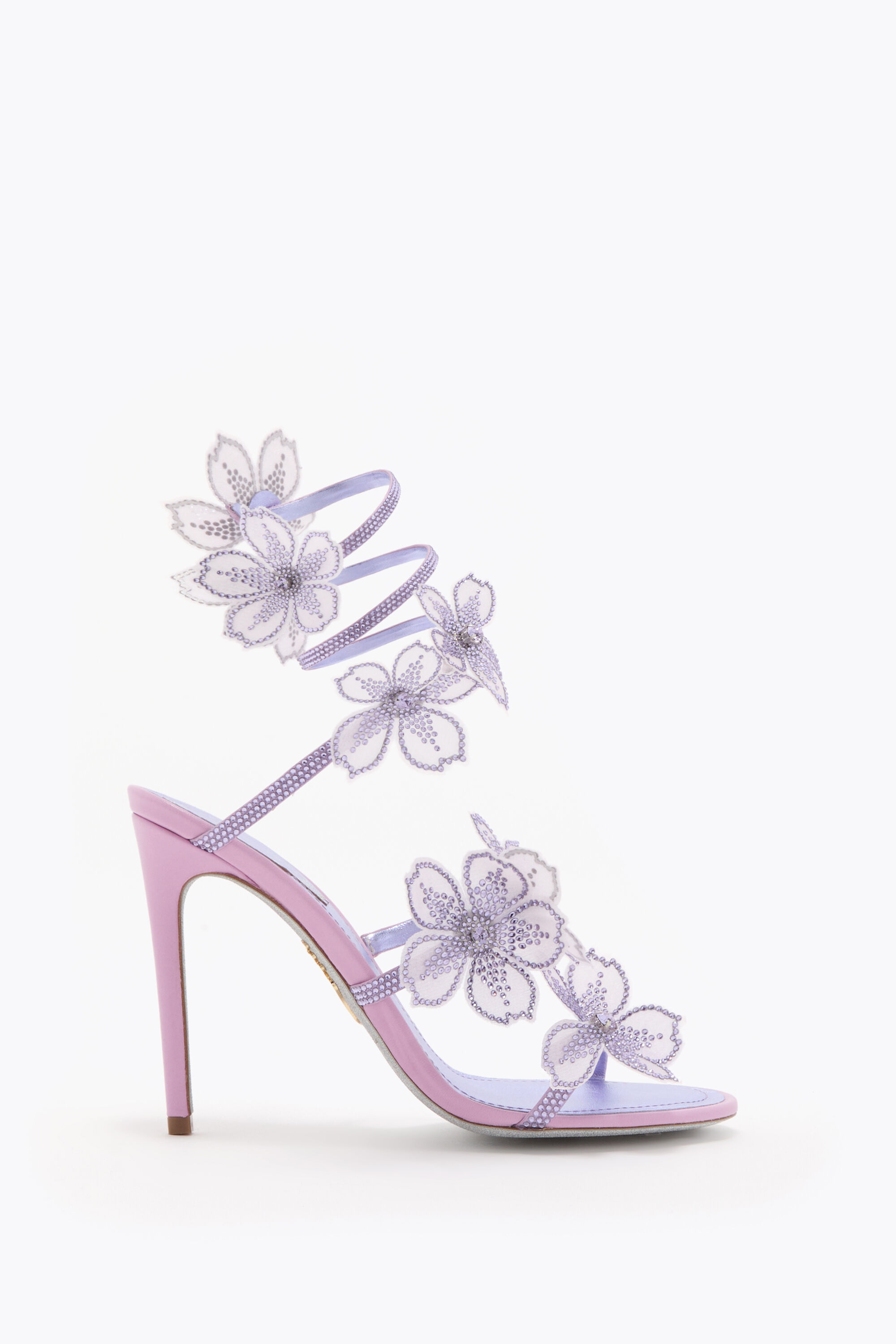 Women's Sales SS26 | Rene Caovilla®
