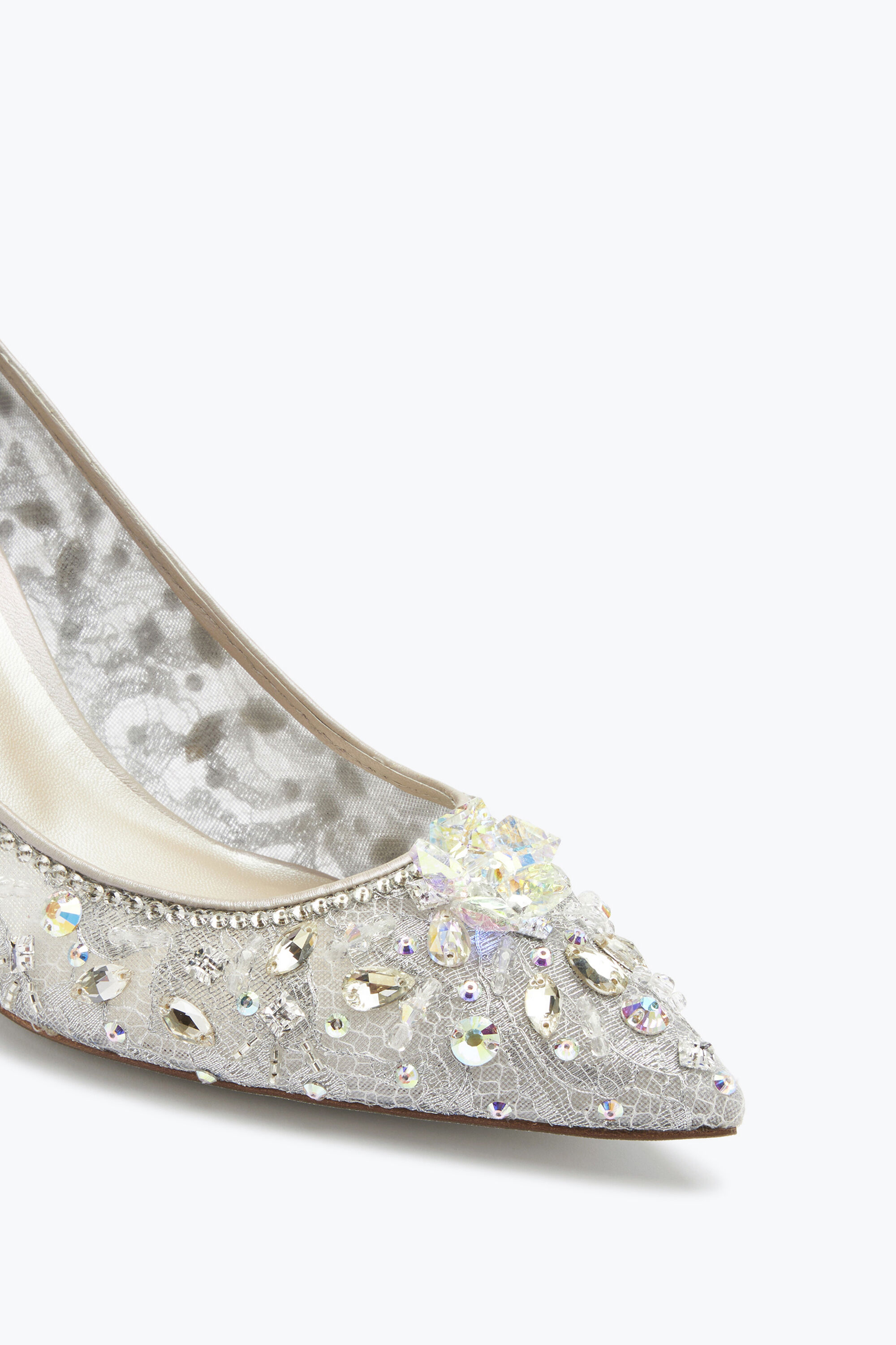 Jeweled Grey Pointed Pumps Cinderella 75 | Rene Caovilla®