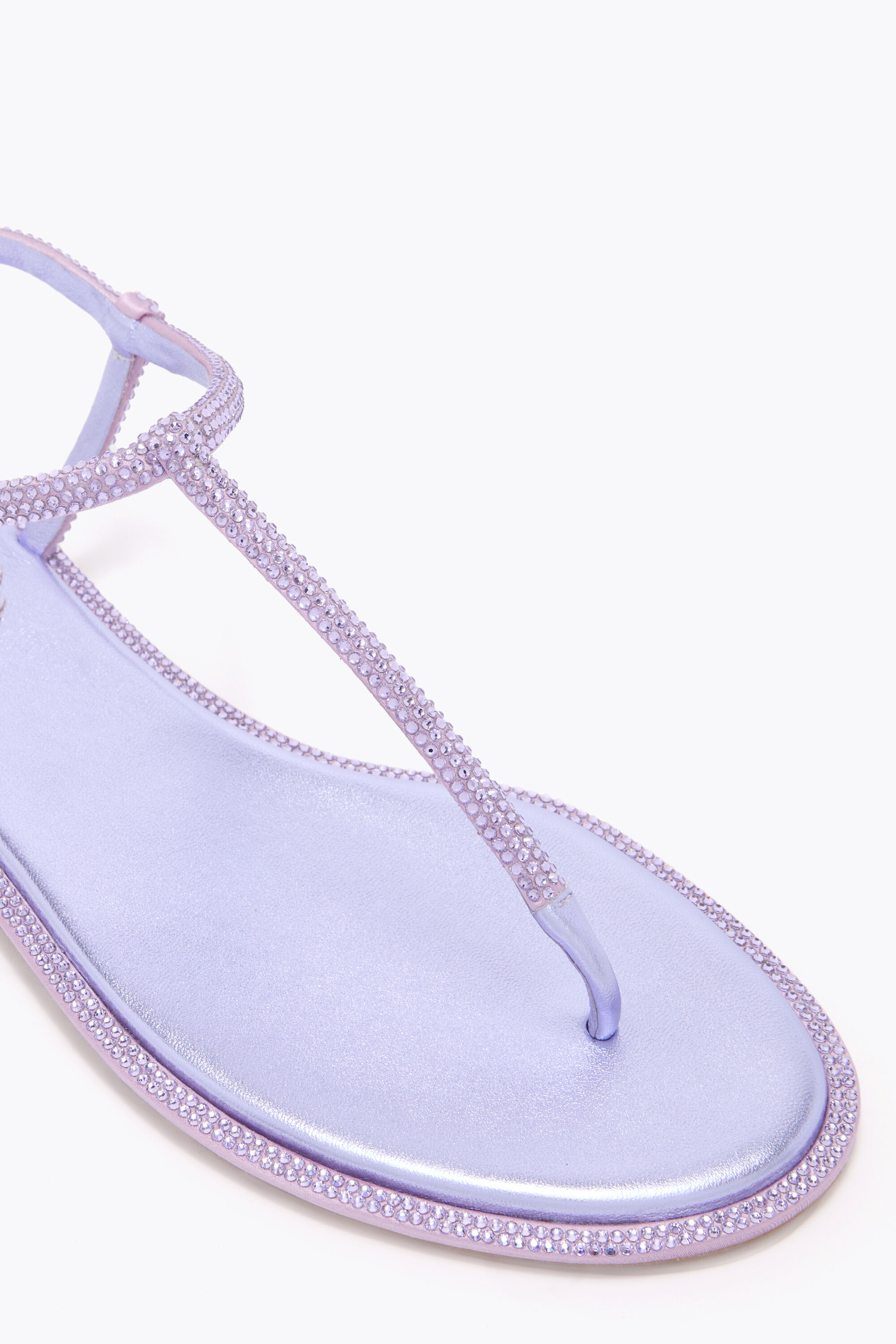 Jeweled DIANA WISTERIA SANDAL WITH CRYSTALS 10 | Rene Caovilla®