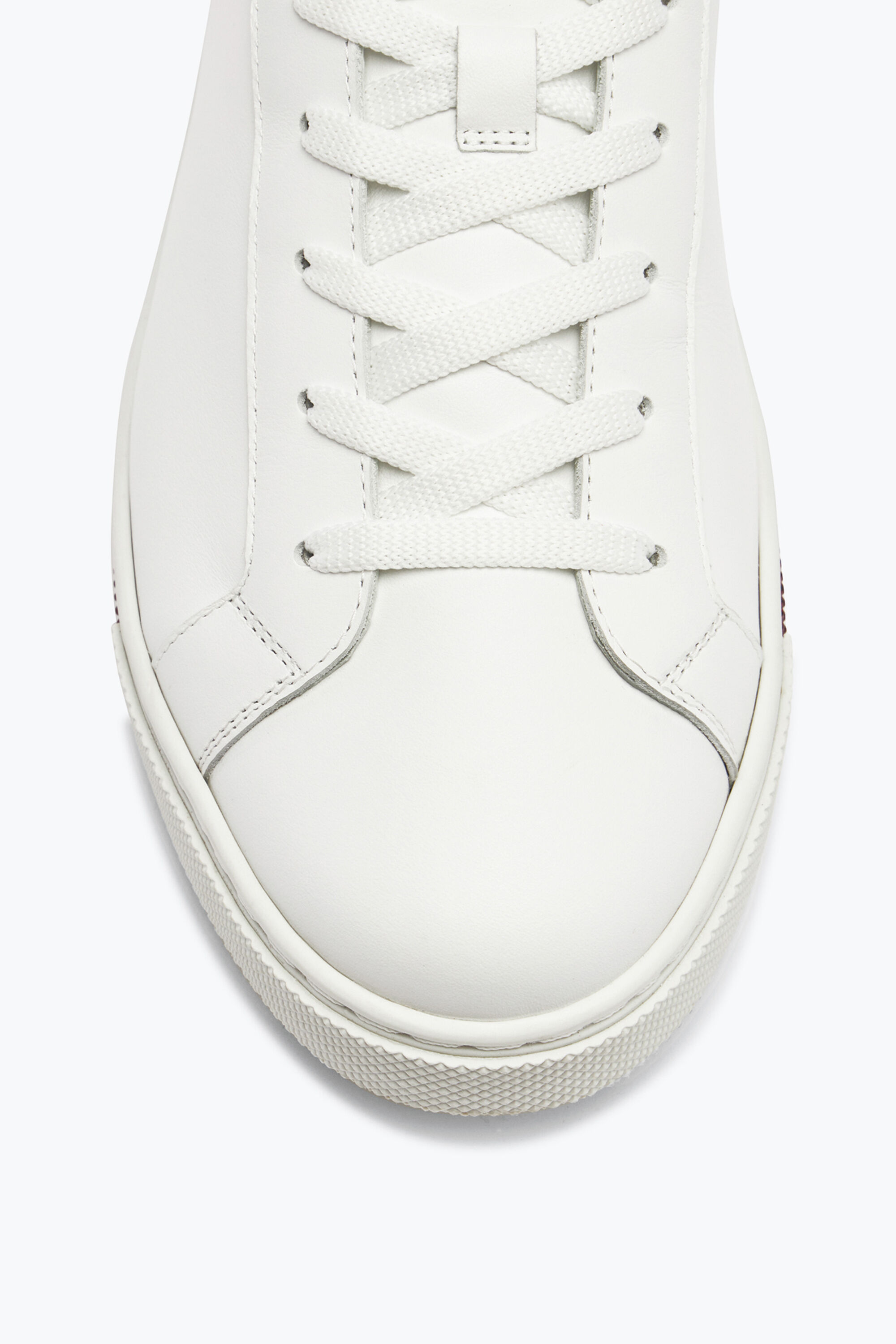 Rene caovilla sneakers on sale